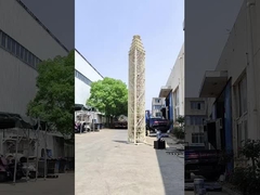 tế bào trên bánh xe